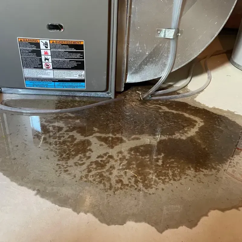 Appliance Leak Cleanup in Yeadon, PA